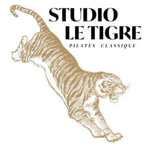 Pilates Classes for Dancers