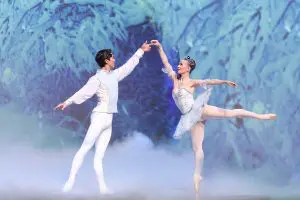 Danseurs masculins recherchés pour Casse-Noisette