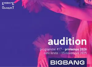 Audition – BIG BANG – Programme 17