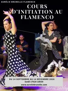 Cours d&rsquo;initiation au flamenco