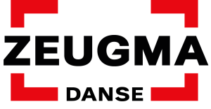 RESPONSABLE DE LA DIFFUSION